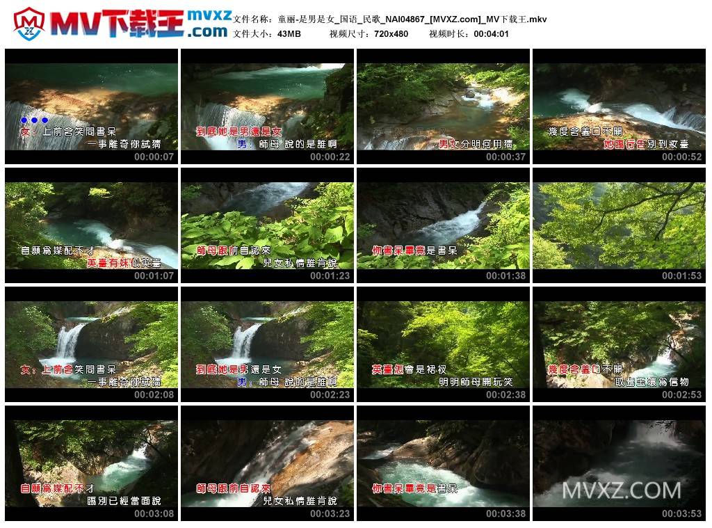 童丽-是男是女_国语_民歌_NAI04867
